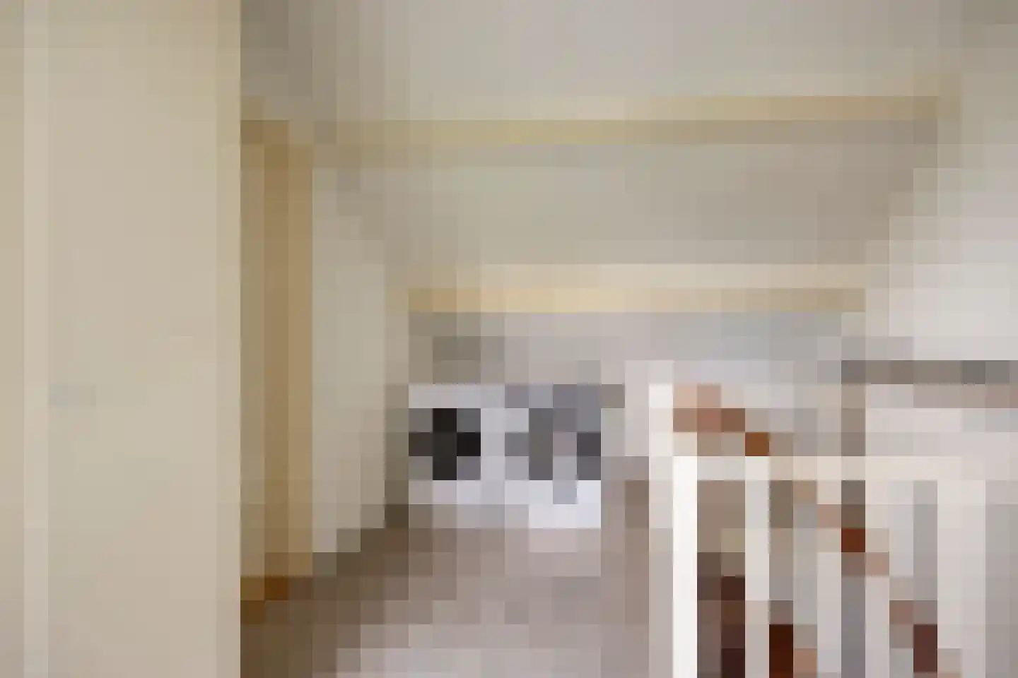 Elzenstraat 4 Uden thumbnail 47
