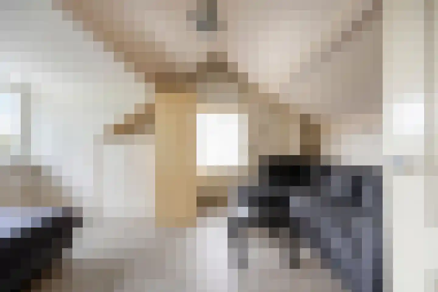 Elzenstraat 4 Uden thumbnail 48