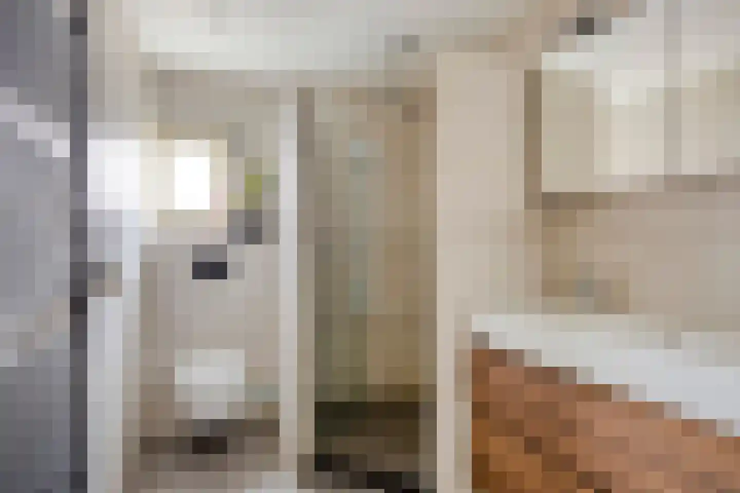Elzenstraat 4 Uden thumbnail 5