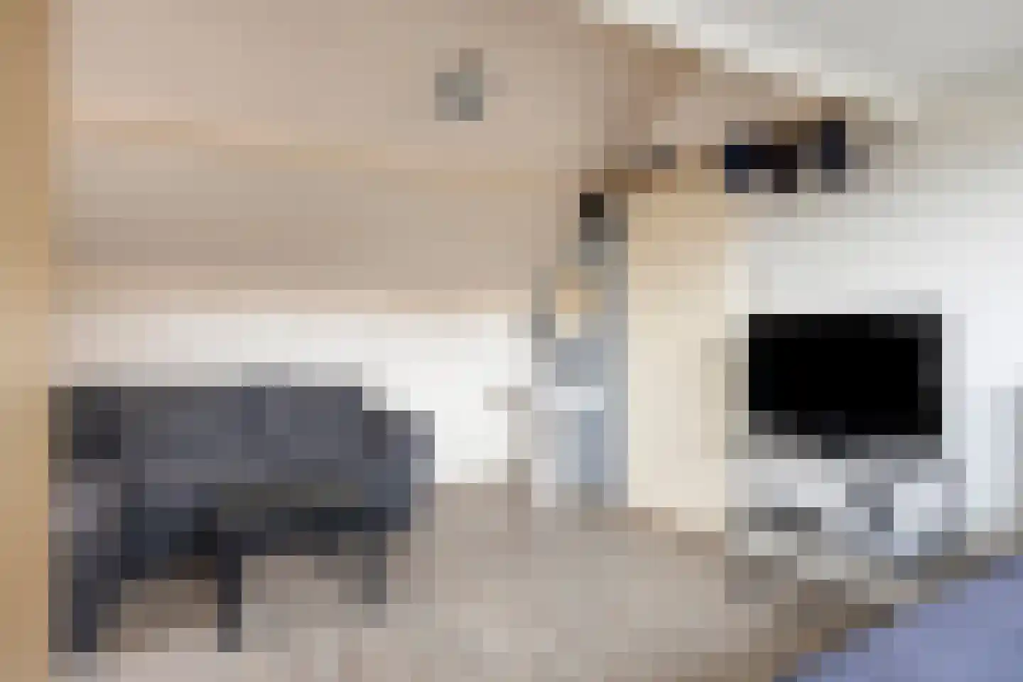 Elzenstraat 4 Uden thumbnail 50