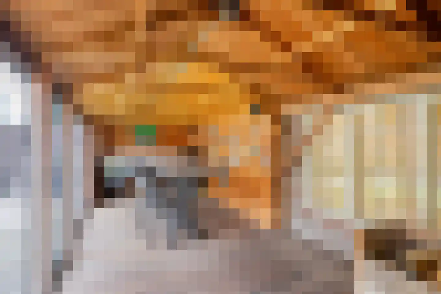 Elzenstraat 4 Uden thumbnail 61