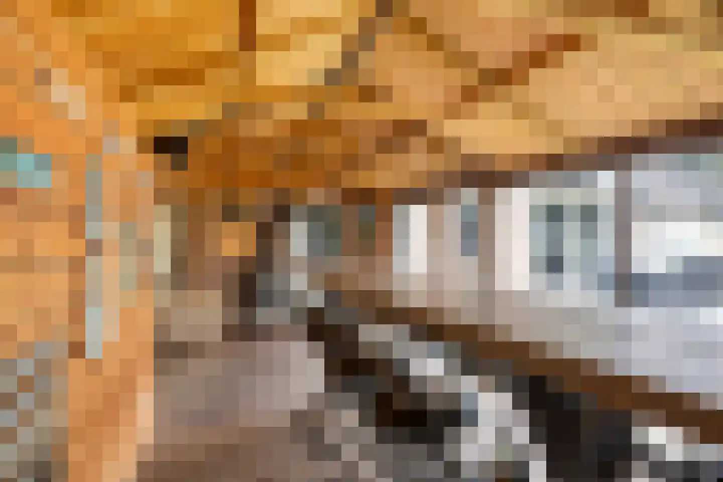 Elzenstraat 4 Uden thumbnail 62