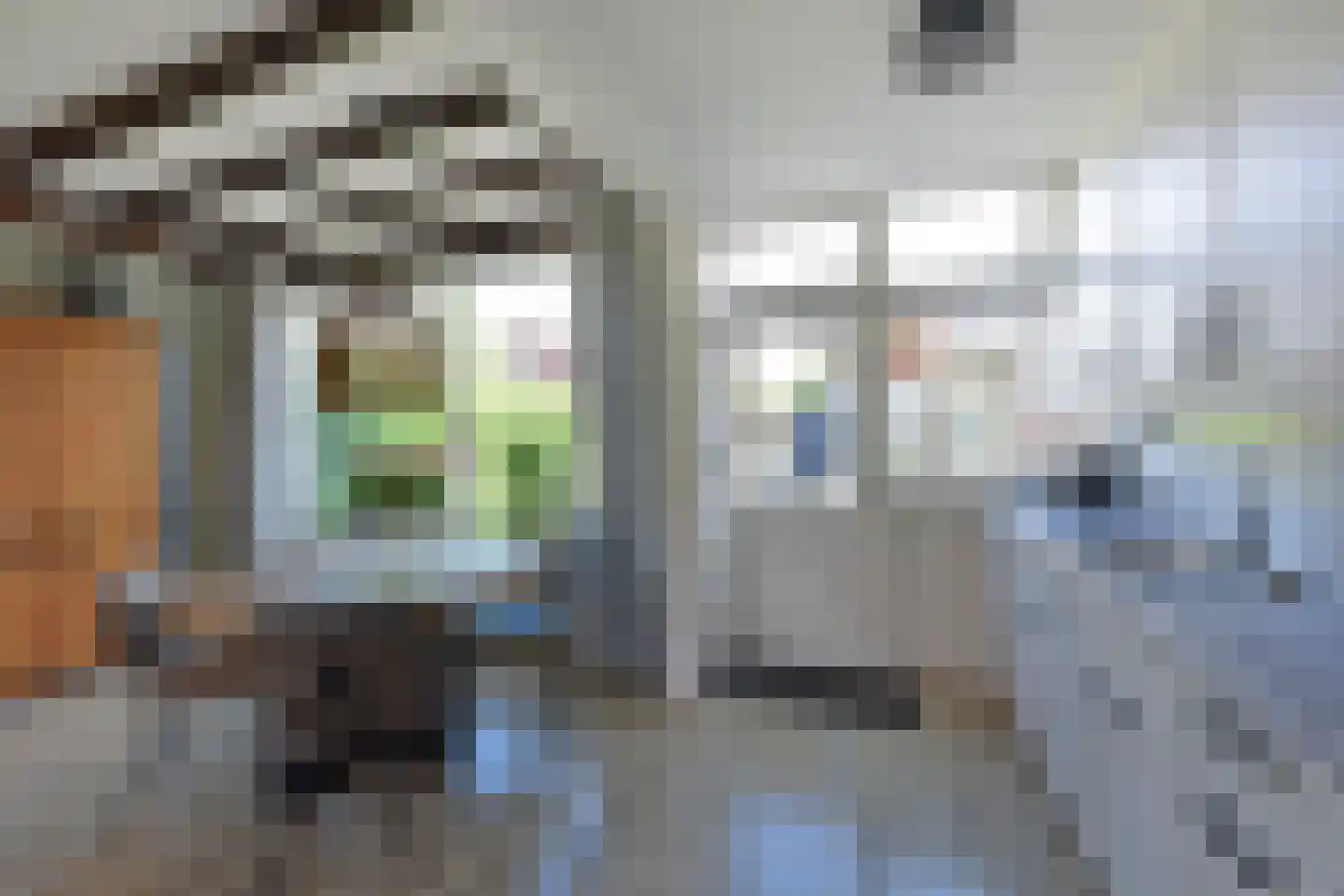 Elzenstraat 40 Nieuwkoop thumbnail 4
