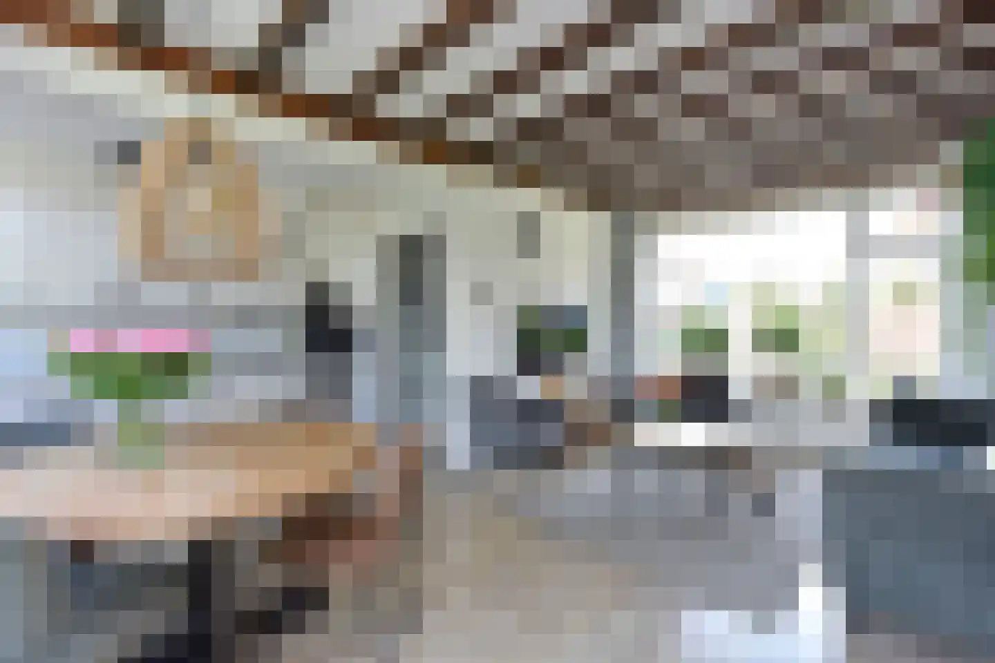 Elzenstraat 40 Nieuwkoop thumbnail 7