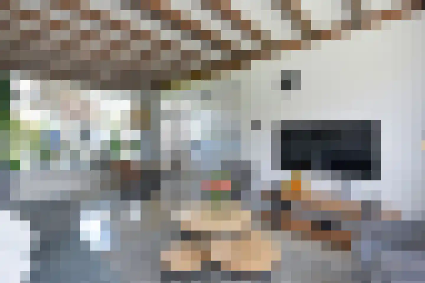 Elzenstraat 40 Nieuwkoop thumbnail 8