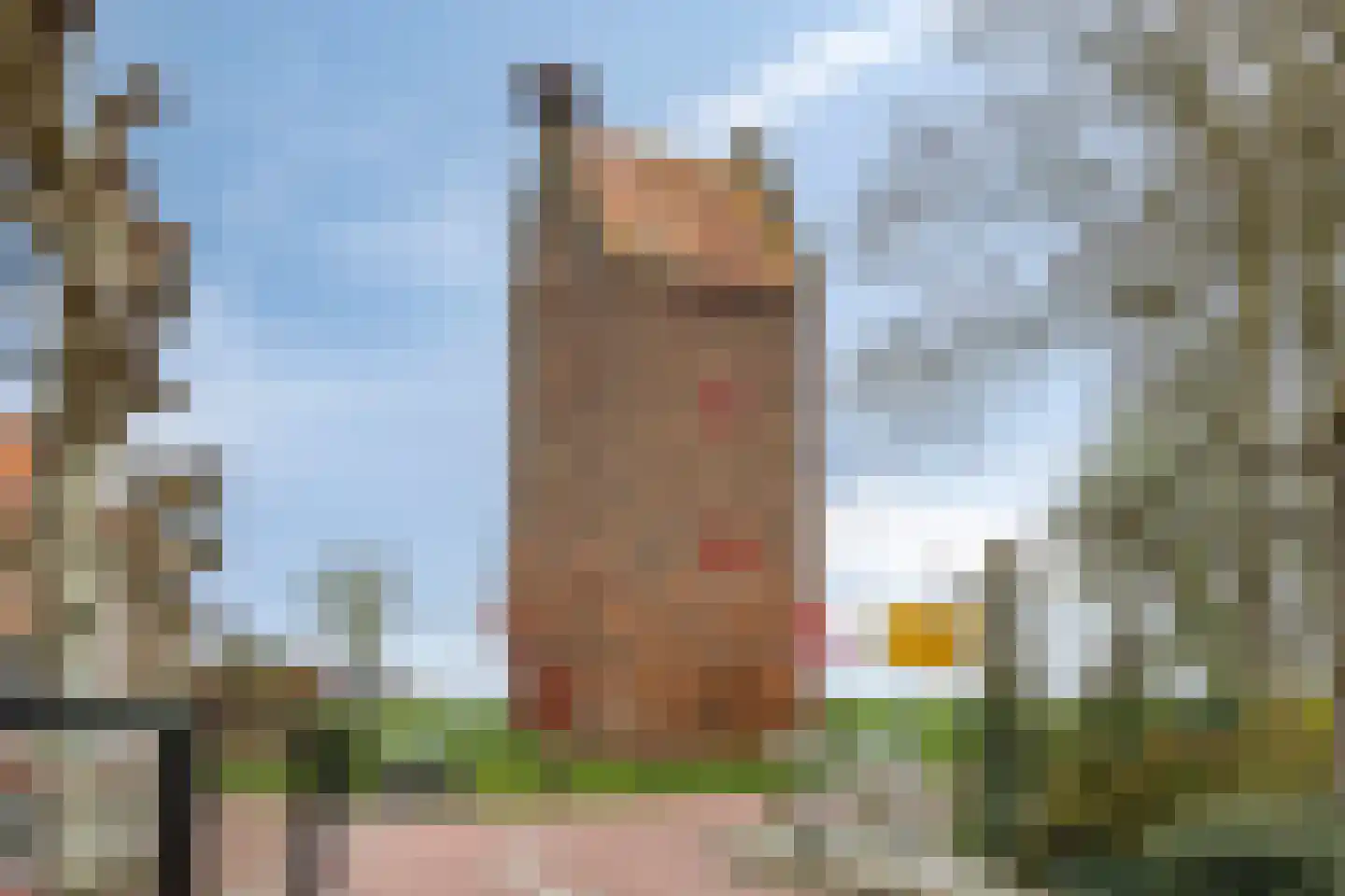 Elzenstraat 41 Megen thumbnail 46