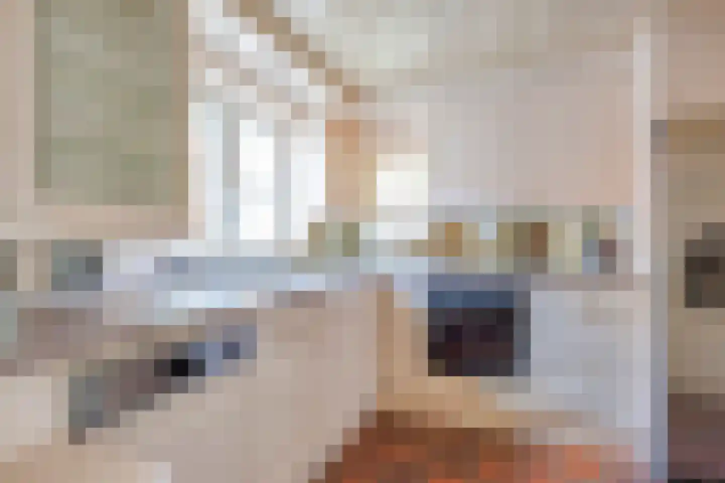 Elzenstraat 48 Boxmeer thumbnail 14