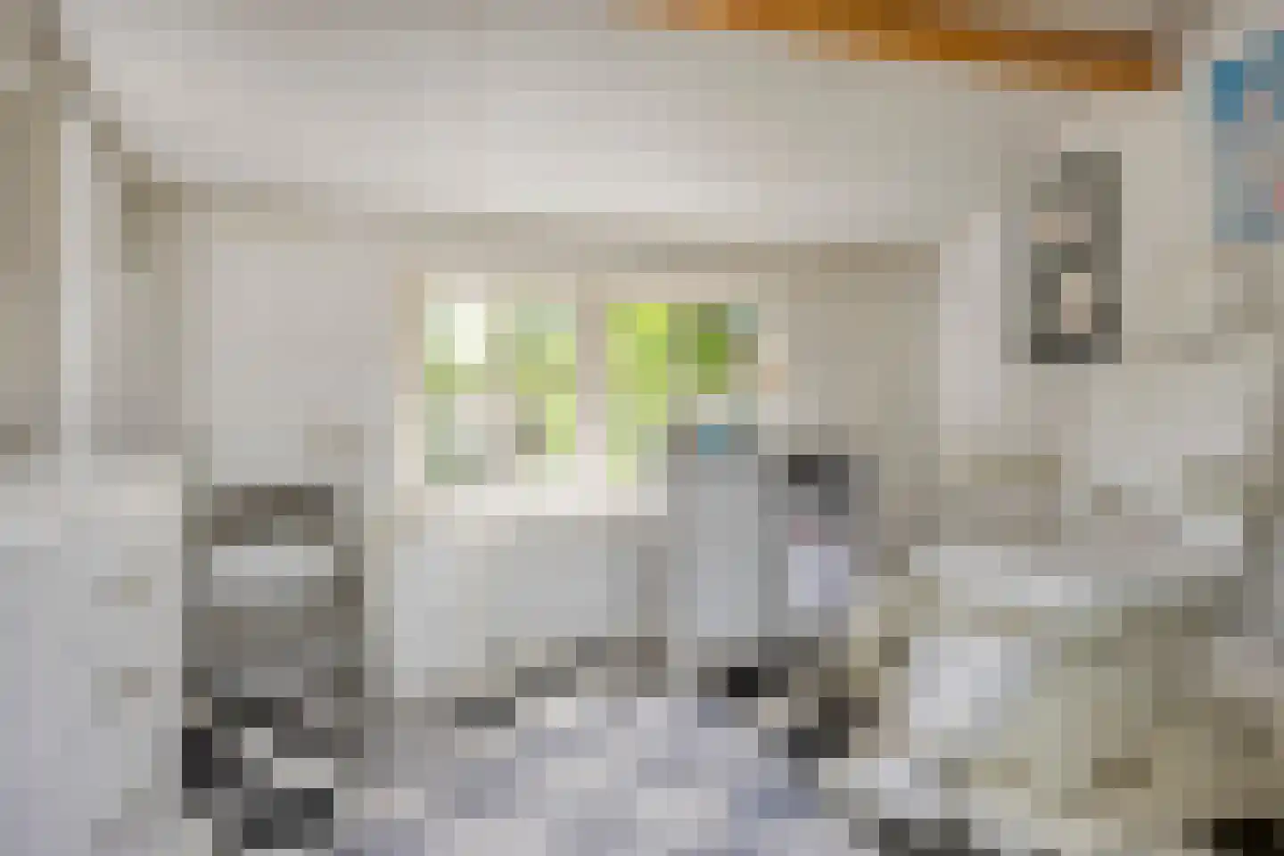 Elzenstraat 48 Boxmeer thumbnail 28