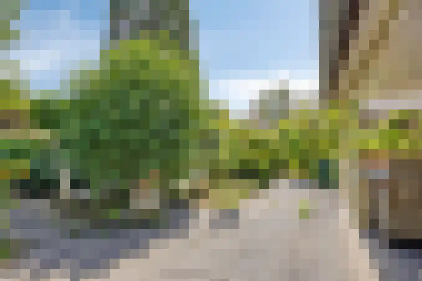 Elzenstraat 48 Boxmeer thumbnail 29