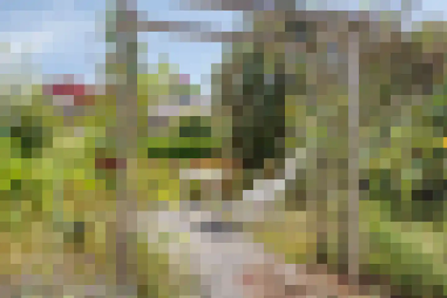 Elzenstraat 48 Boxmeer thumbnail 31