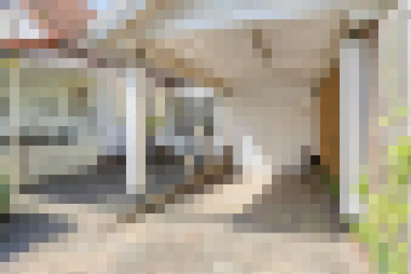 Elzenstraat 48 Boxmeer thumbnail 33