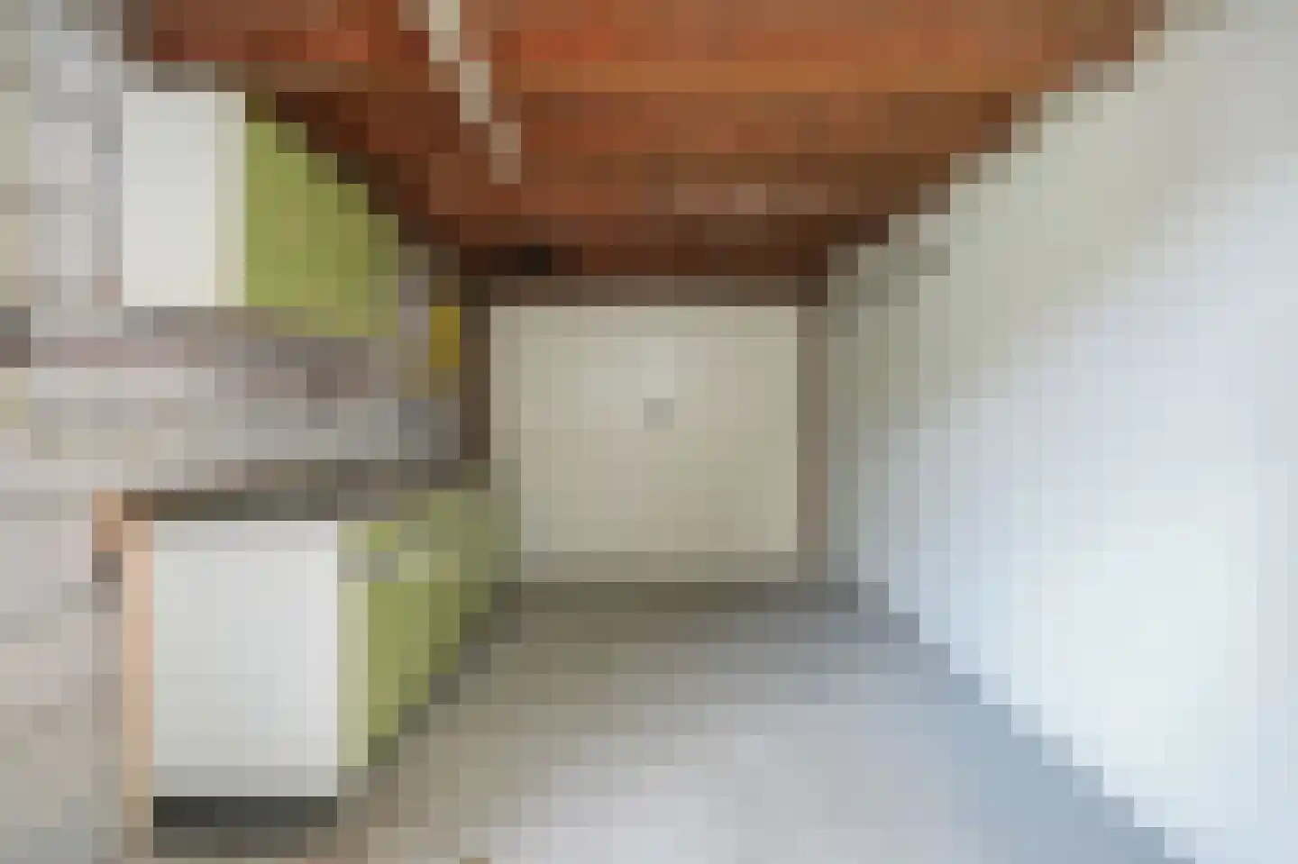 Elzenstraat 49 Brakel thumbnail 20