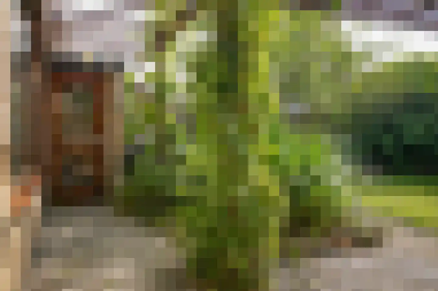 Elzenstraat 49 Brakel thumbnail 22