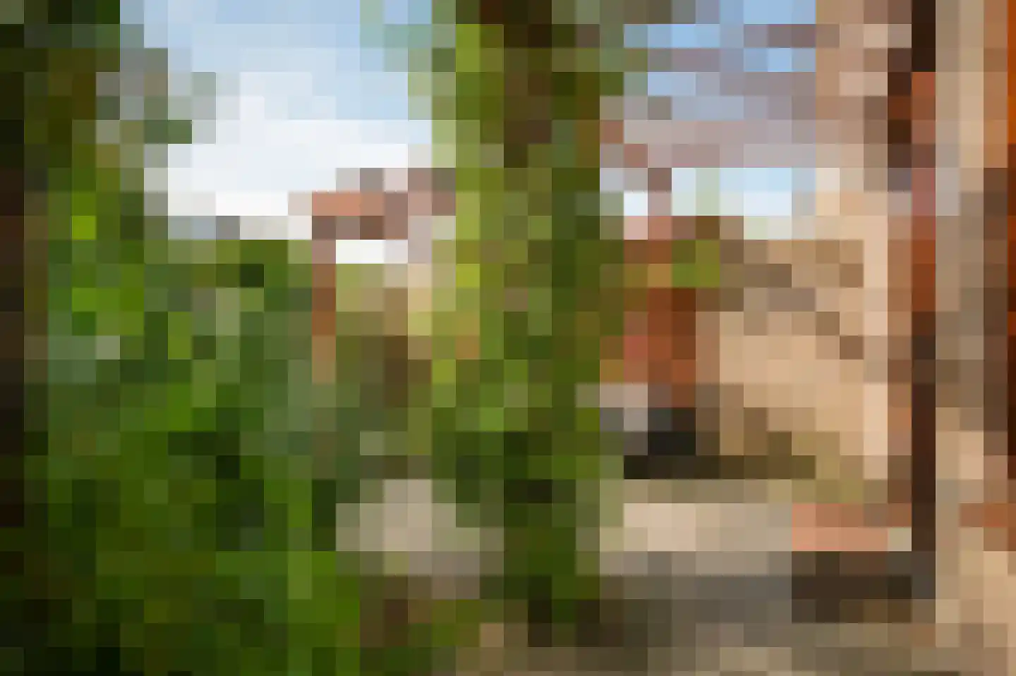 Elzenstraat 49 Brakel thumbnail 24