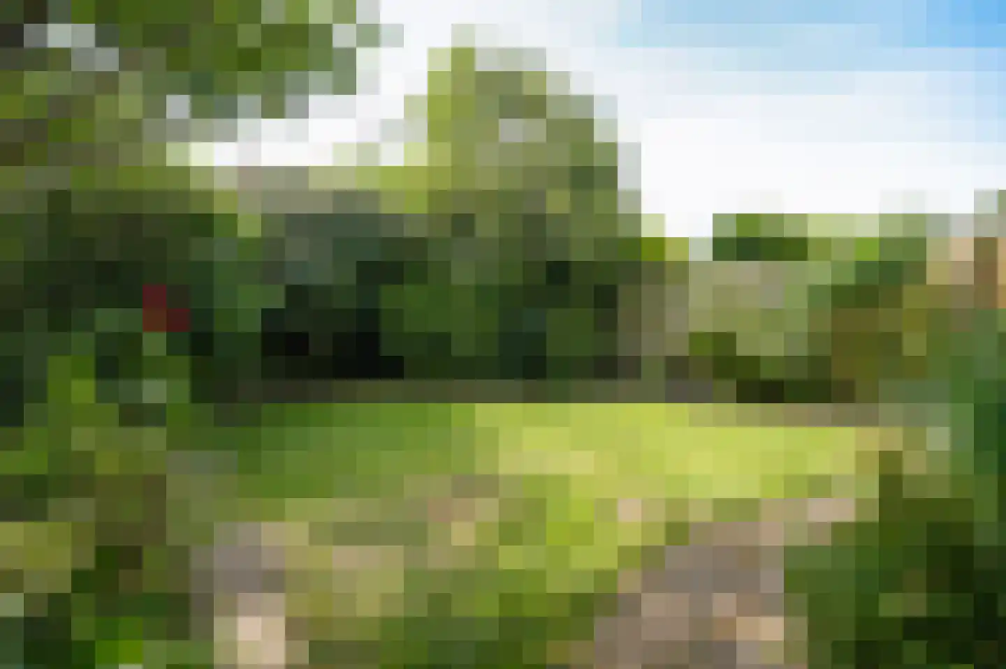 Elzenstraat 49 Brakel thumbnail 26