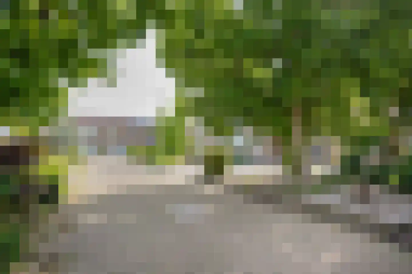 Elzenstraat 49 Brakel thumbnail 29