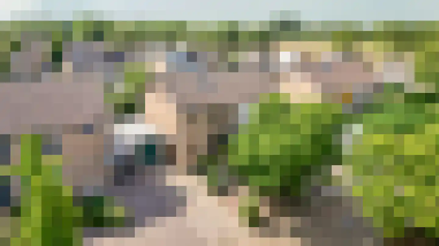 Elzenstraat 49 Brakel thumbnail 31