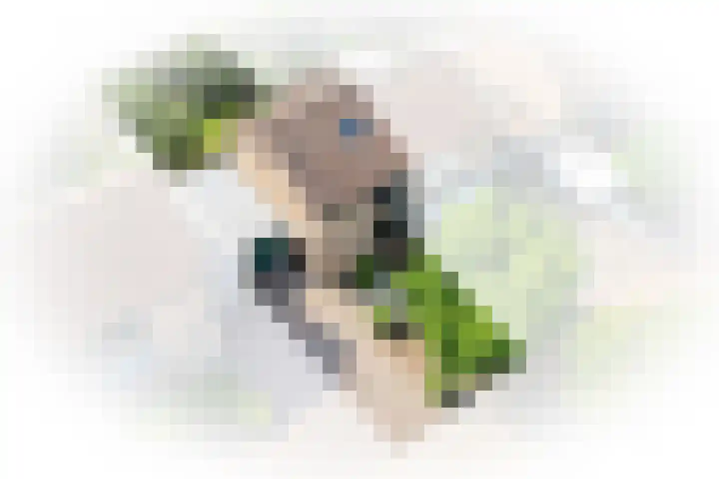 Elzenstraat 49 Brakel thumbnail 32