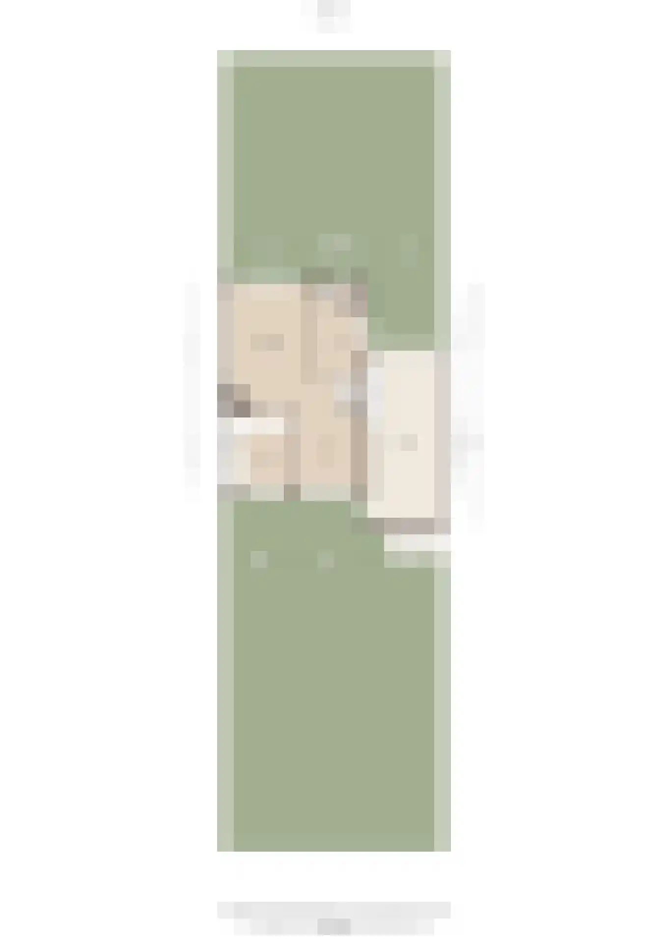 Elzenstraat 49 Brakel thumbnail 40