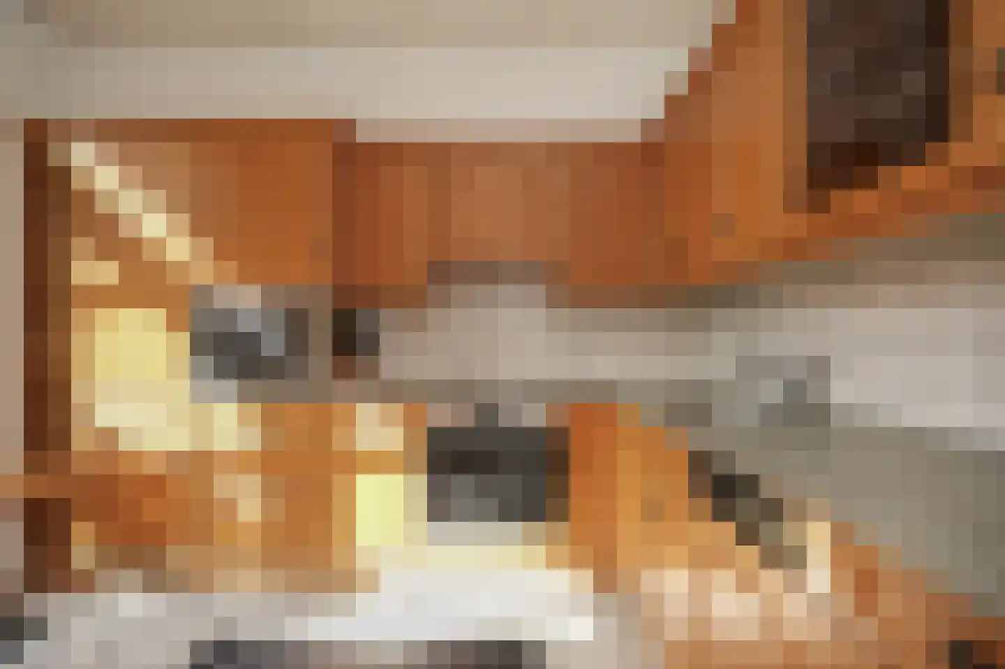Elzenstraat 49 Brakel thumbnail 8