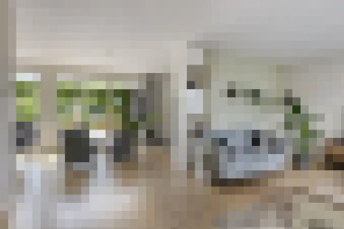 Elzenstraat 5 Nieuwolda thumbnail 11