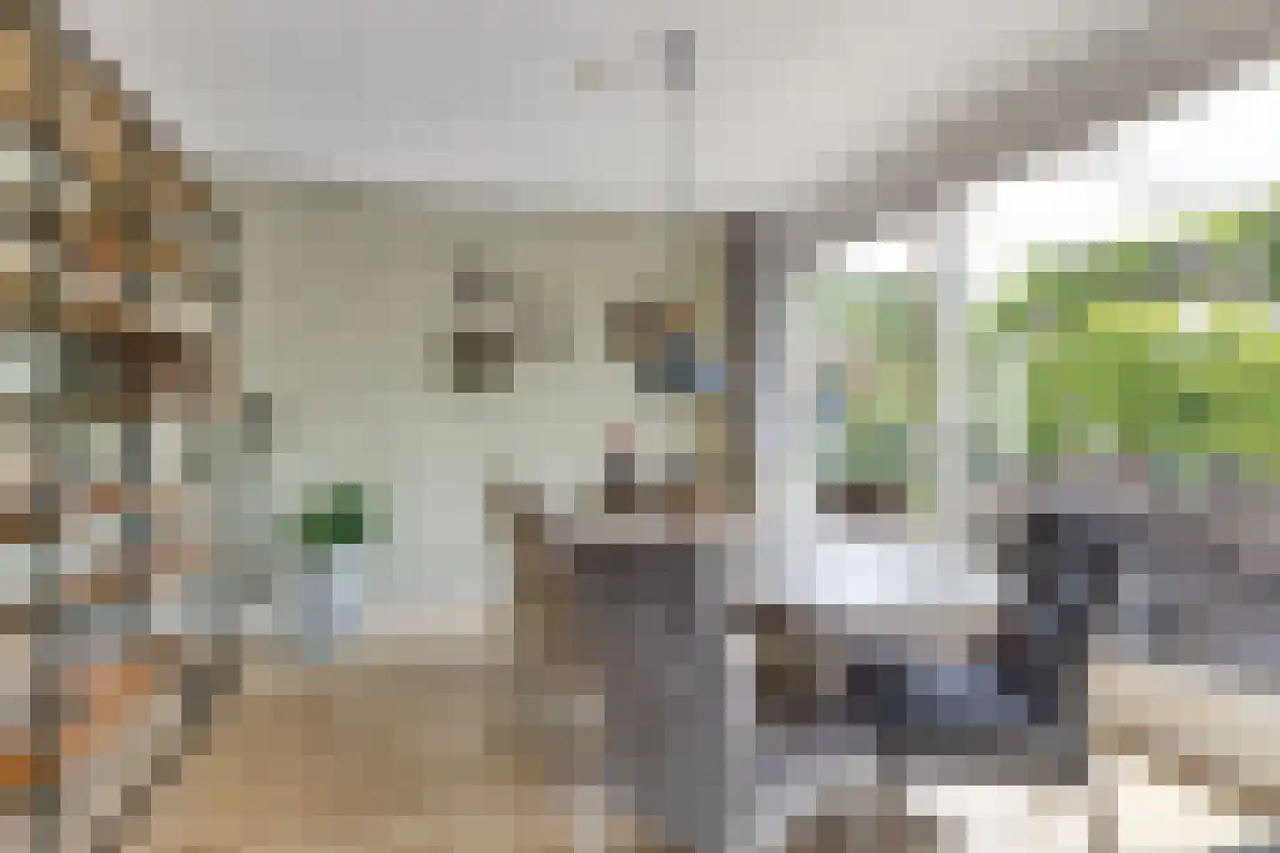 Elzenstraat 5 Nieuwolda thumbnail 13