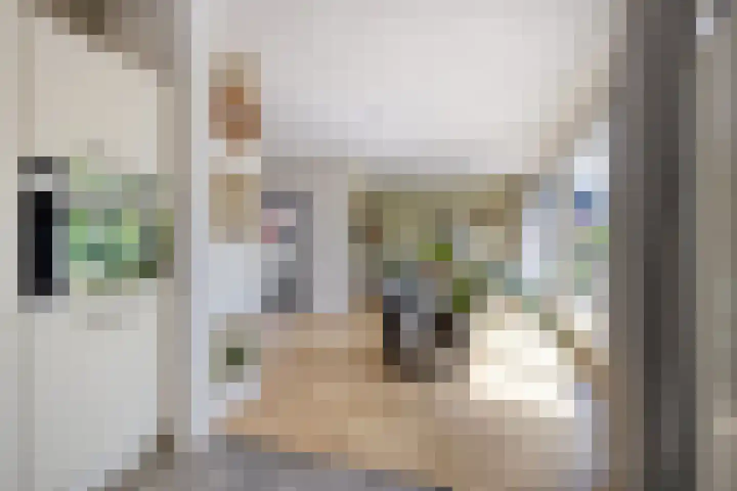 Elzenstraat 5 Nieuwolda thumbnail 19