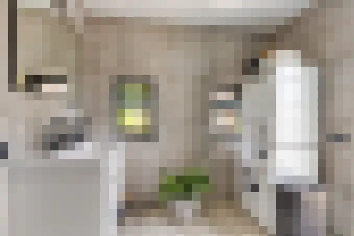 Elzenstraat 5 Nieuwolda thumbnail 24