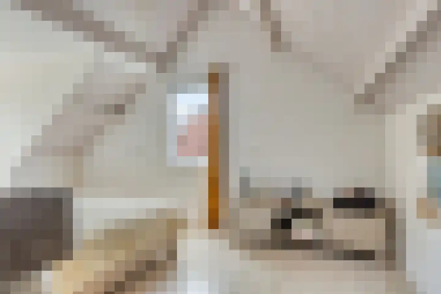 Elzenstraat 5 Nieuwolda thumbnail 26