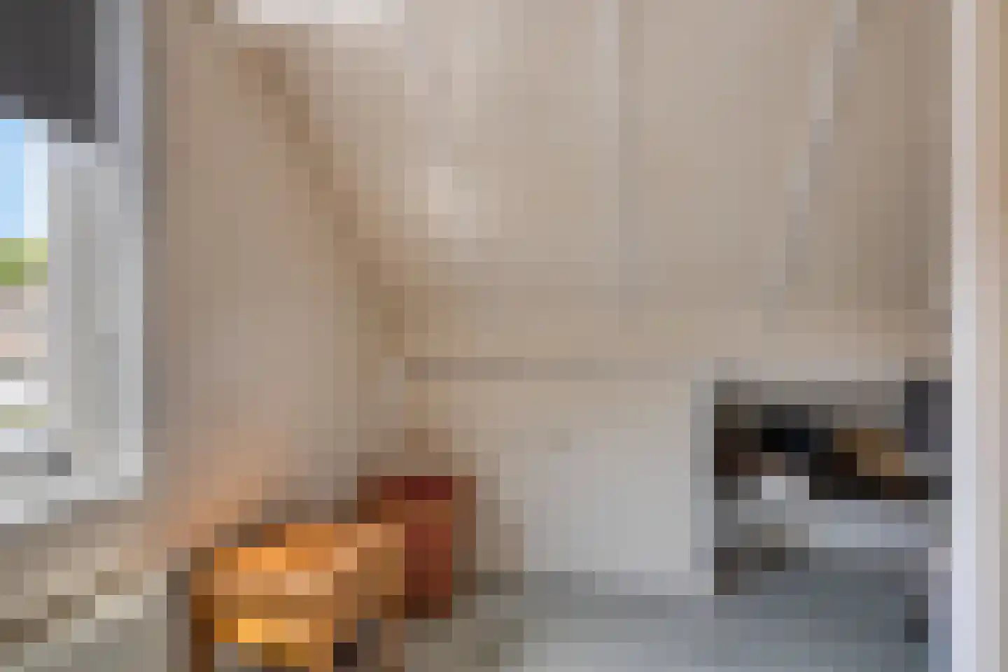 Elzenstraat 5 Nieuwolda thumbnail 33