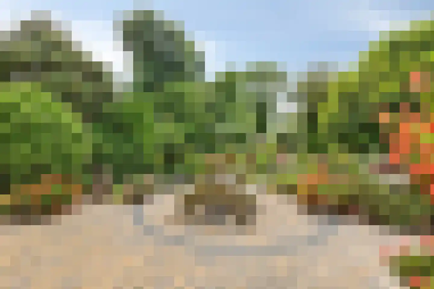 Elzenstraat 5 Nieuwolda thumbnail 39