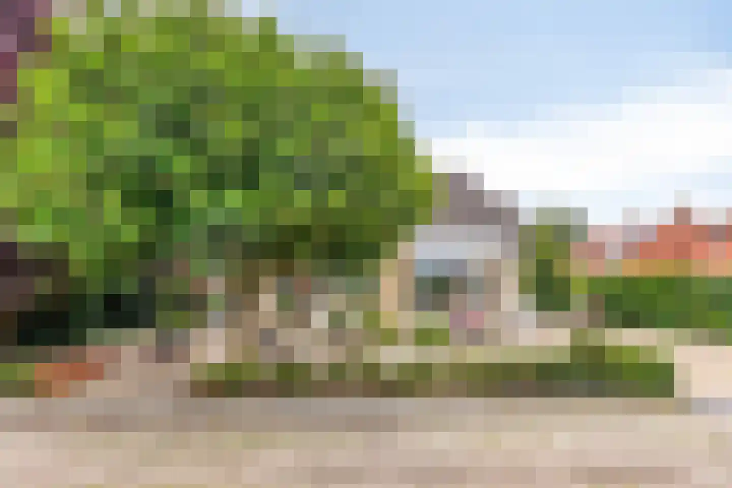 Elzenstraat 5 Nieuwolda thumbnail 4