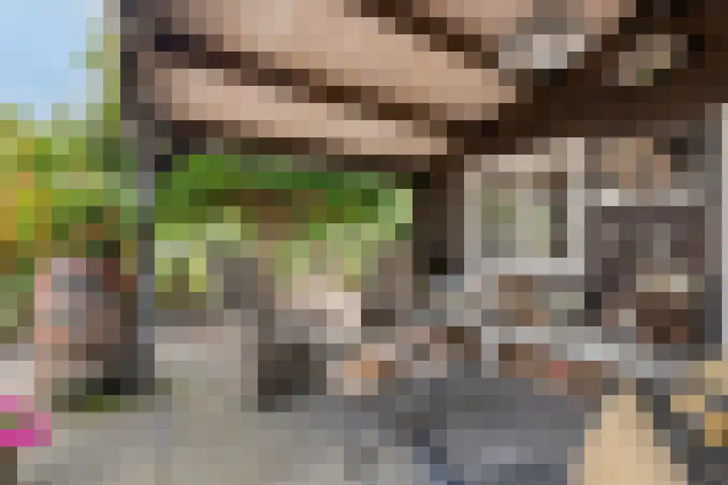 Elzenstraat 5 Nieuwolda thumbnail 41