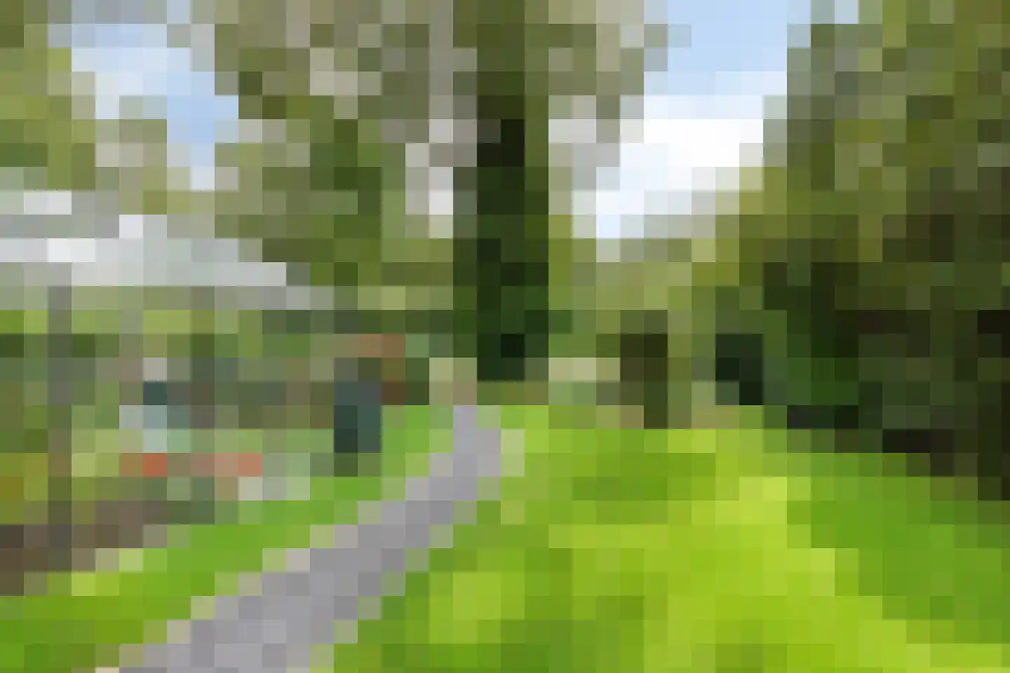 Elzenstraat 5 Nieuwolda thumbnail 45