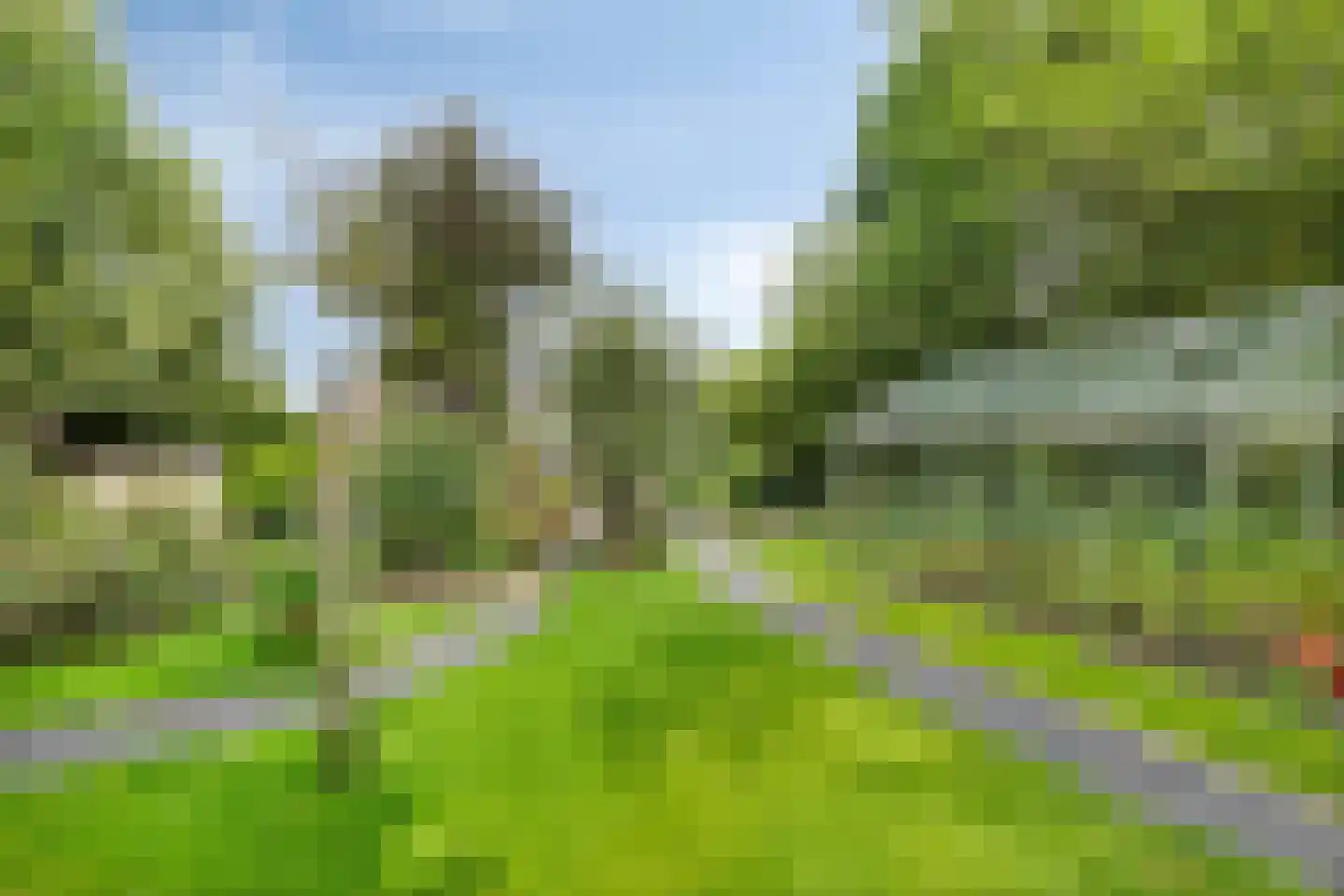 Elzenstraat 5 Nieuwolda thumbnail 46