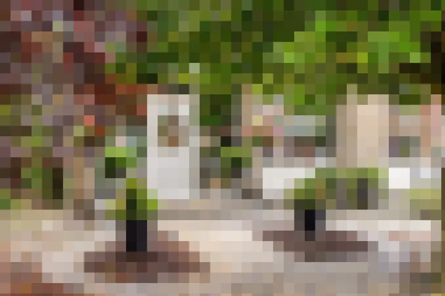 Elzenstraat 5 Nieuwolda thumbnail 5