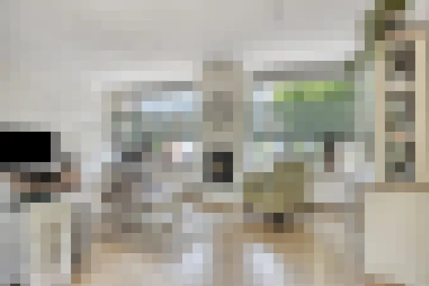 Elzenstraat 5 Nieuwolda thumbnail 8