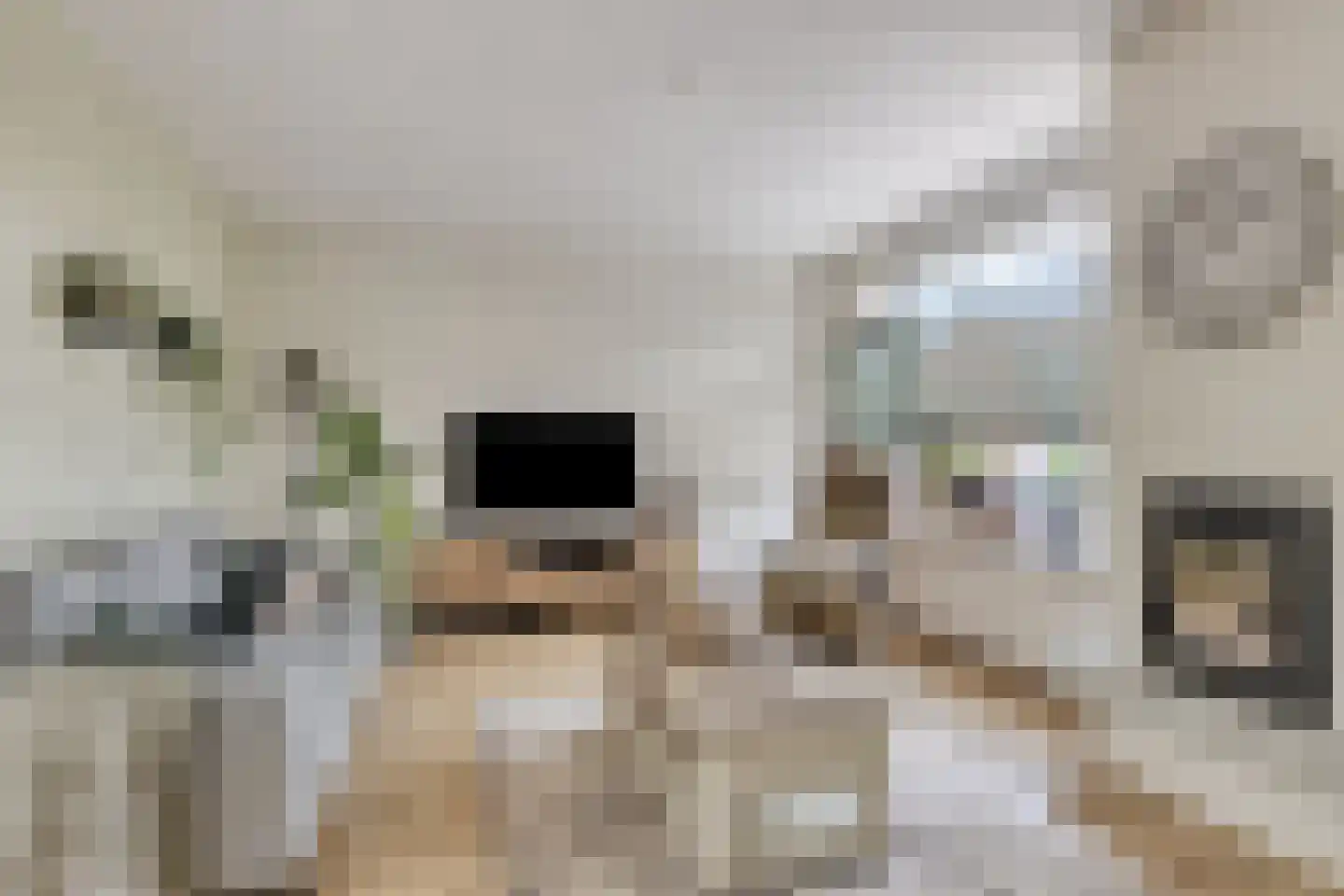 Elzenstraat 5 Nieuwolda thumbnail 9