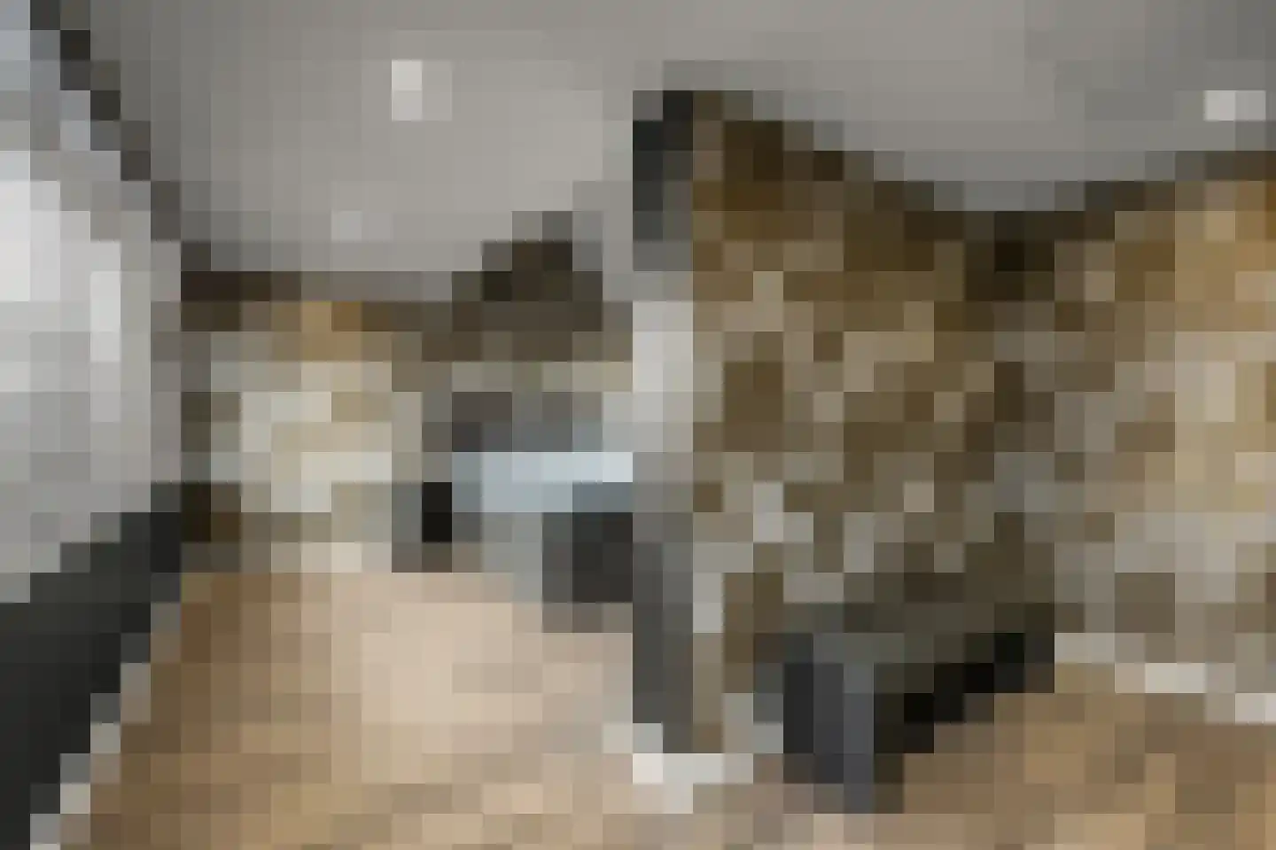 Elzenstraat 50 Nieuwkoop thumbnail 30