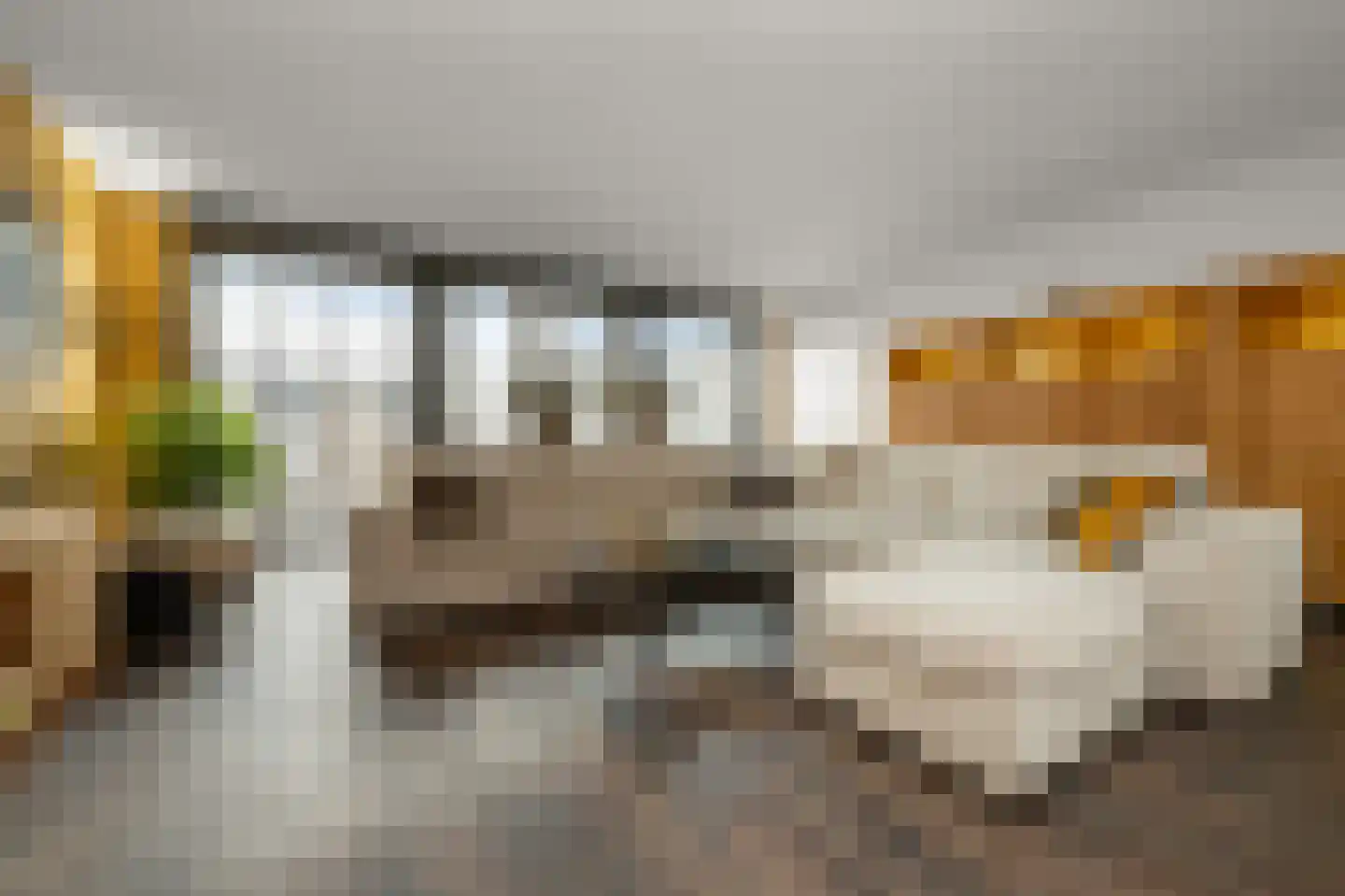 Elzenstraat 50 Nieuwkoop thumbnail 6