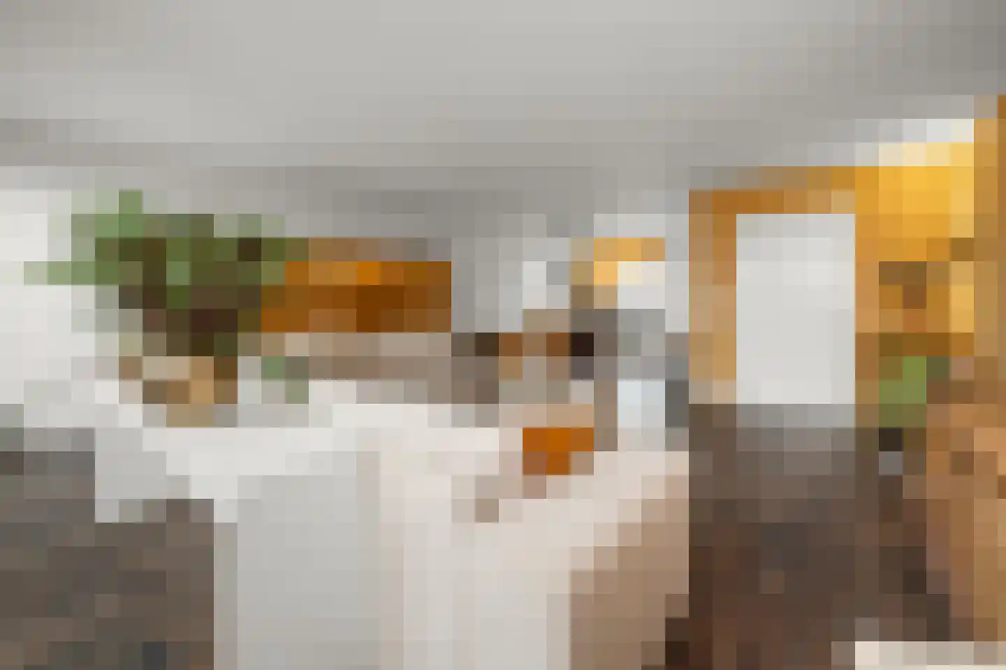 Elzenstraat 50 Nieuwkoop thumbnail 7