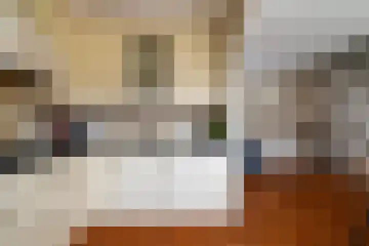 Elzenstraat 52 Brakel thumbnail 12