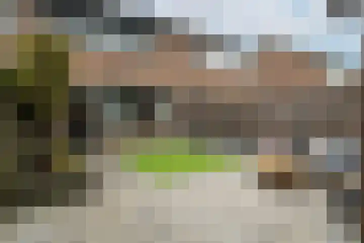 Elzenstraat 52 Brakel thumbnail 31