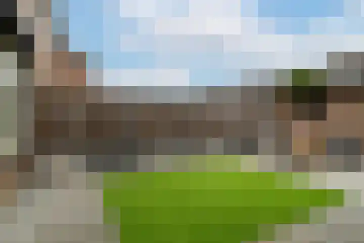 Elzenstraat 52 Brakel thumbnail 33