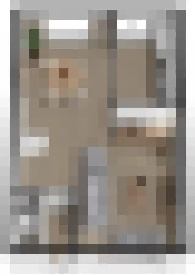 Elzenstraat 52 Brakel thumbnail 36
