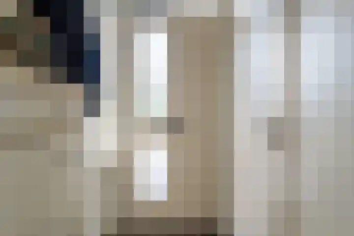 Elzenstraat 52 Brakel thumbnail 5