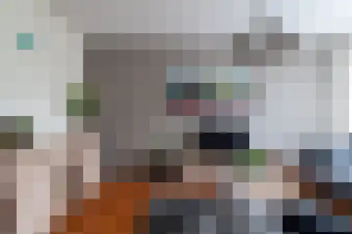 Elzenstraat 52 Brakel thumbnail 8