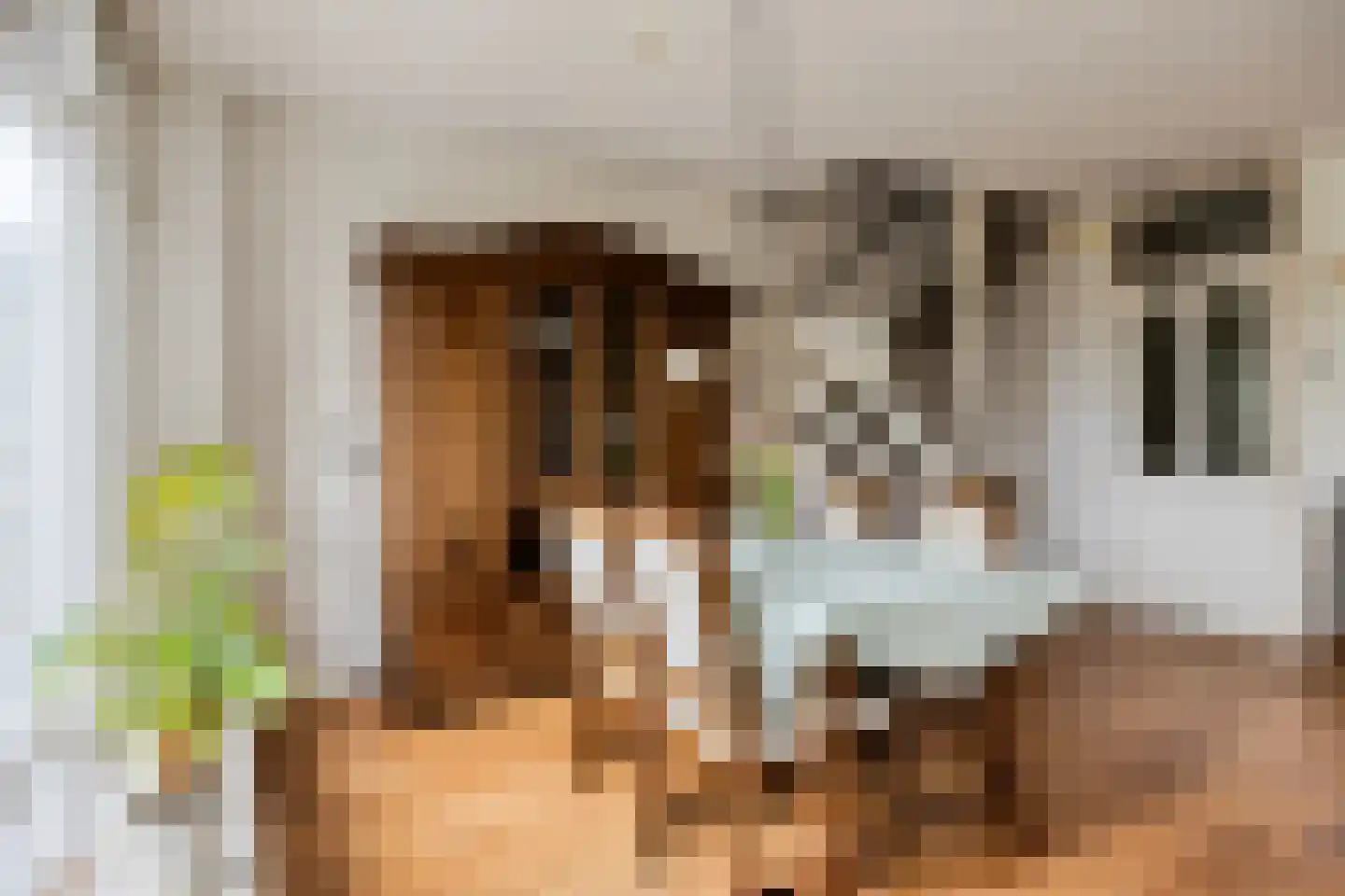 Elzenstraat 52 Kampen thumbnail 16