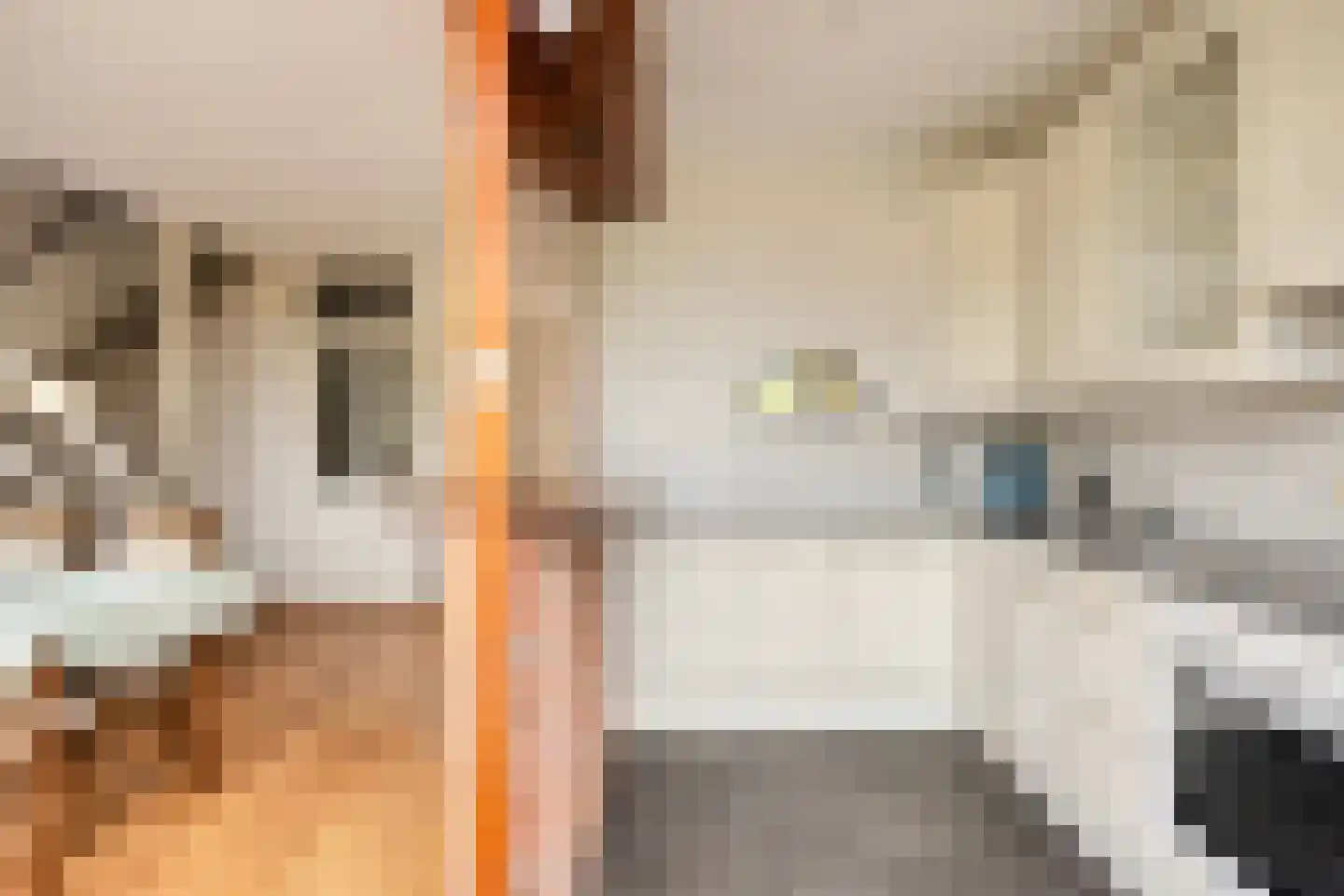 Elzenstraat 52 Kampen thumbnail 17