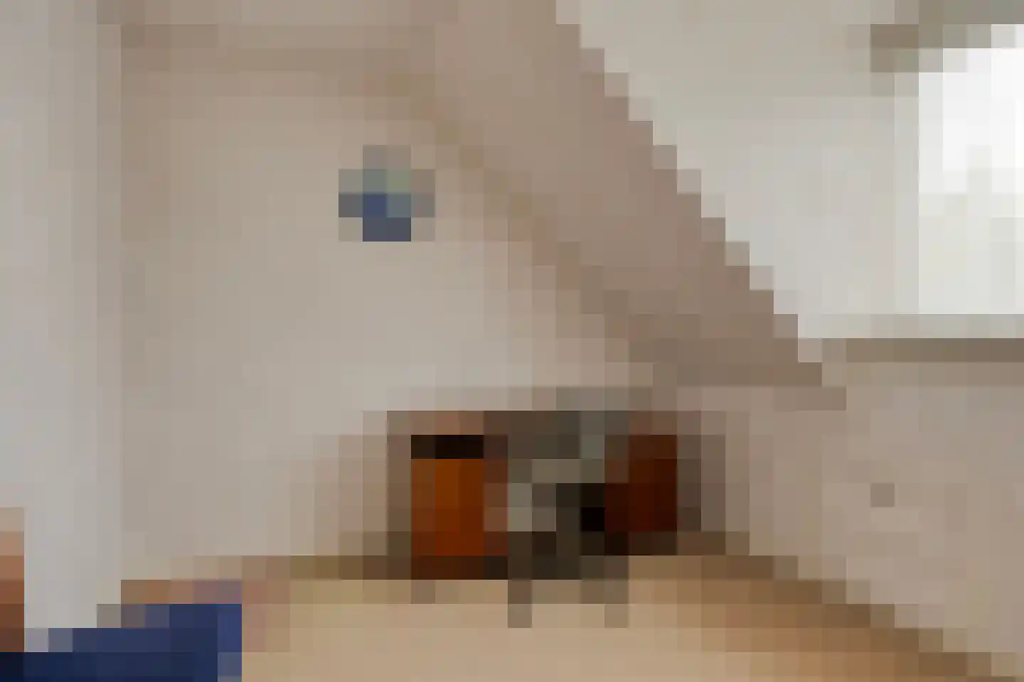 Elzenstraat 52 Kampen thumbnail 26
